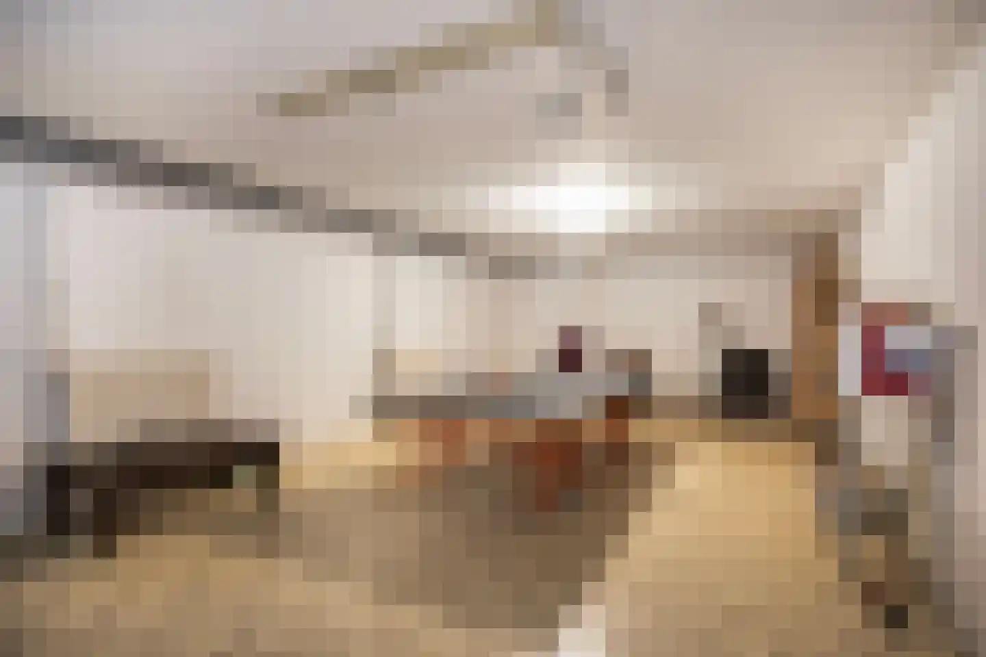 Larixlaan 2 A Ede thumbnail 61