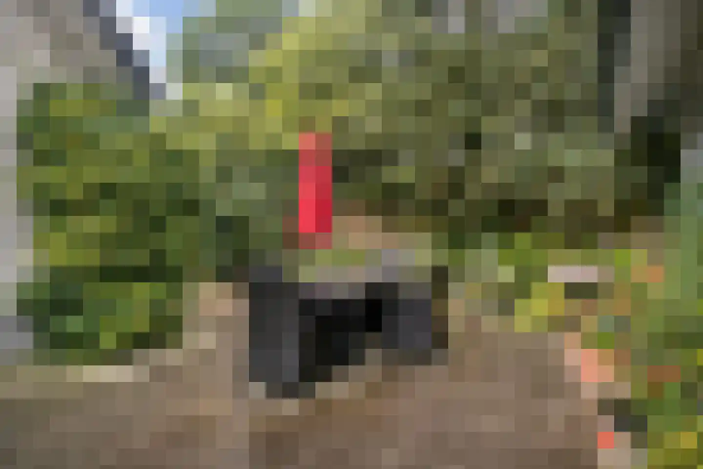 Larixlaan 2 A Ede thumbnail 65