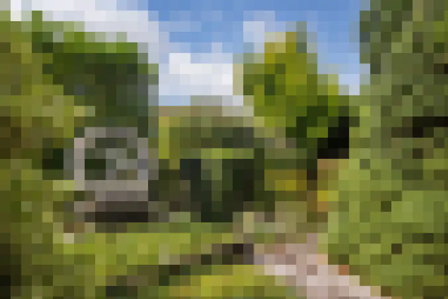Larixlaan 2 A Ede thumbnail 66