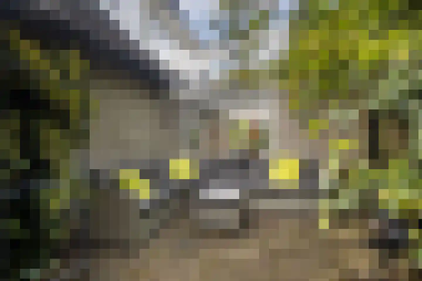 Larixlaan 2 A Ede thumbnail 67
