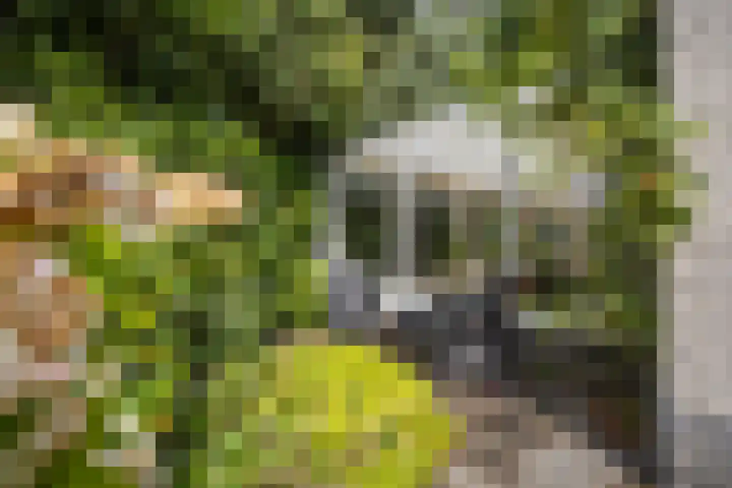 Larixlaan 2 A Ede thumbnail 68