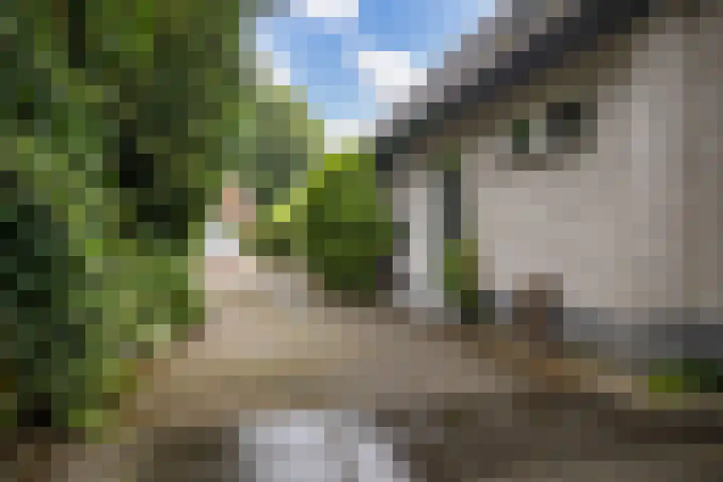 Larixlaan 2 A Ede thumbnail 71