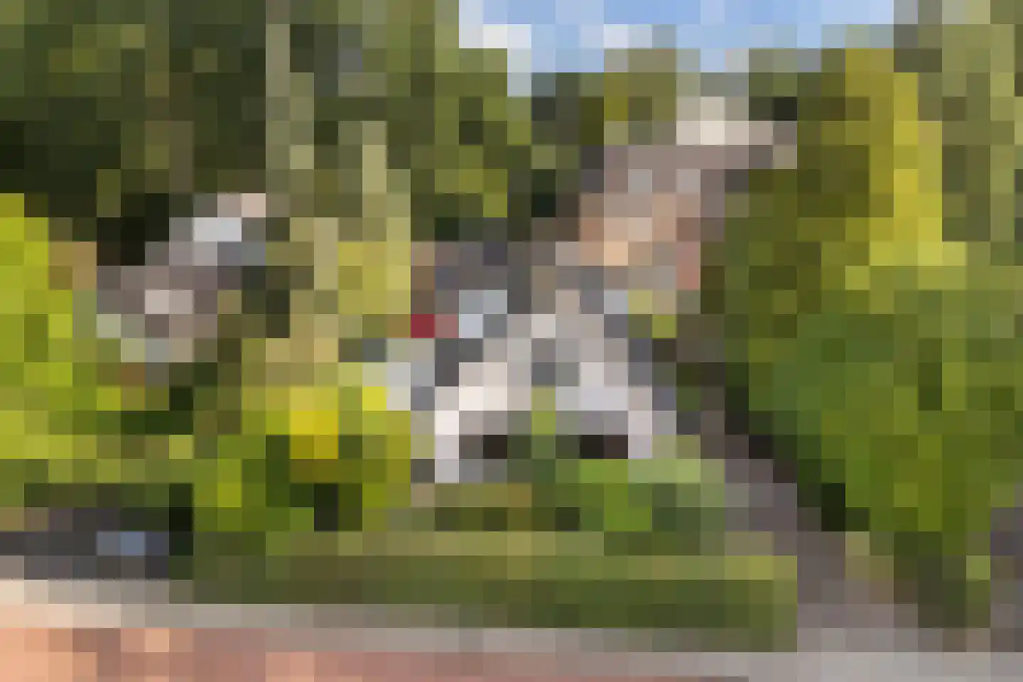 Larixlaan 2 A Ede thumbnail 73