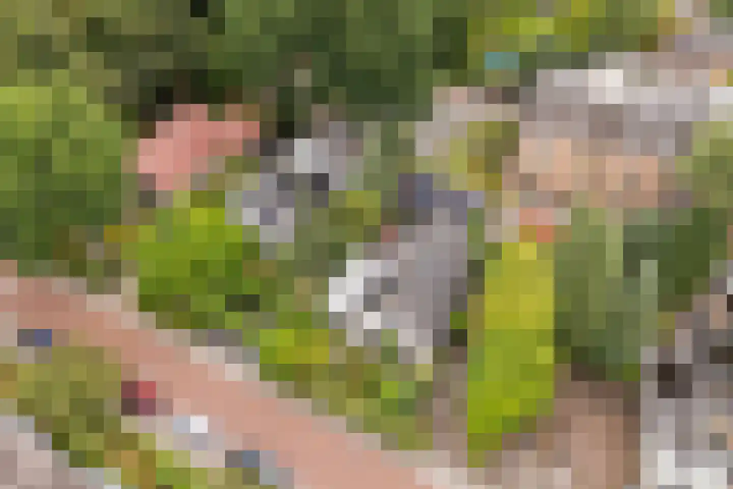 Larixlaan 2 A Ede thumbnail 75