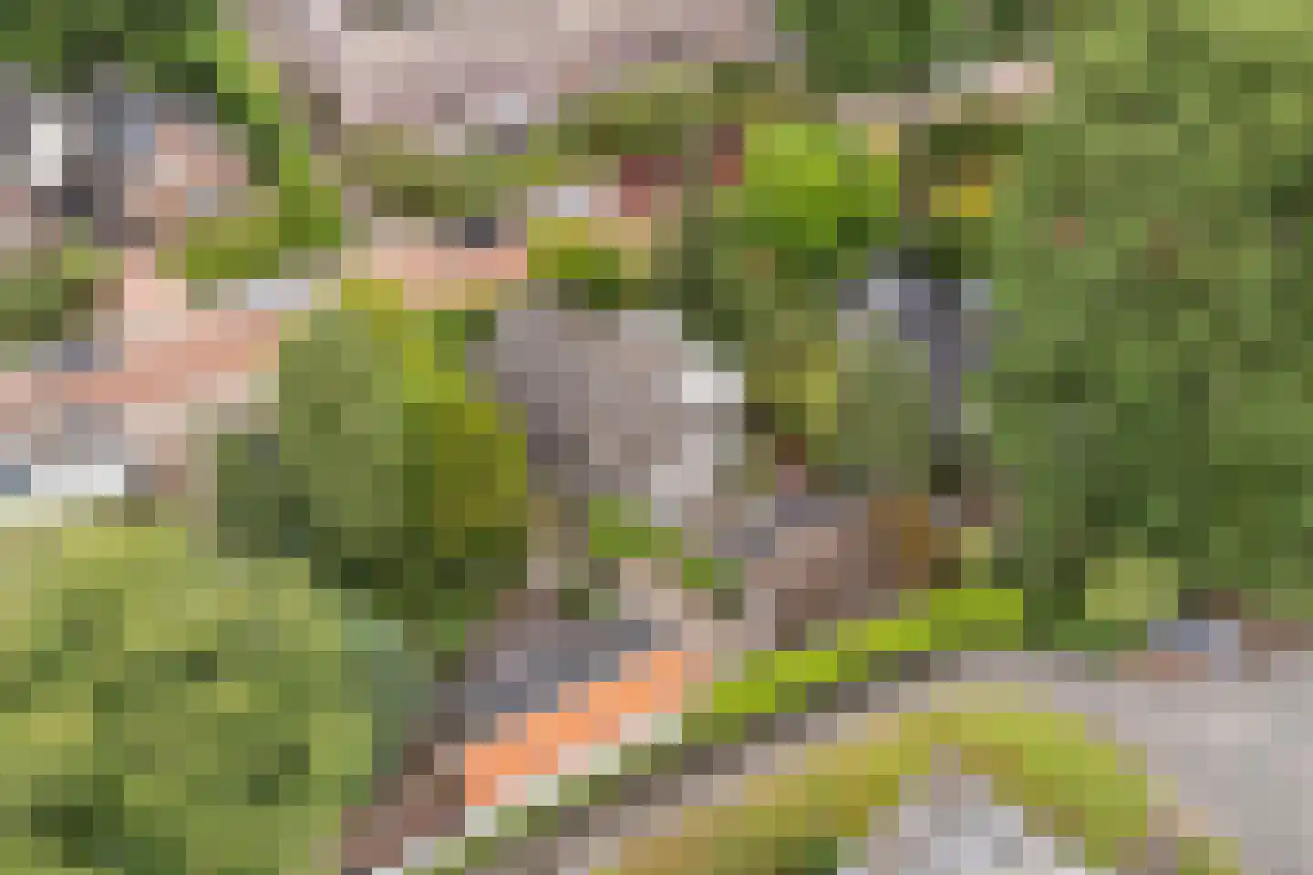 Larixlaan 2 A Ede thumbnail 76
