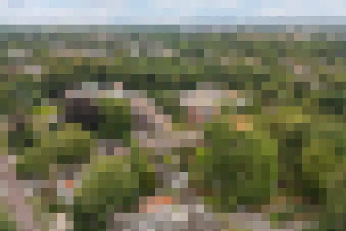 Larixlaan 2 A Ede thumbnail 77