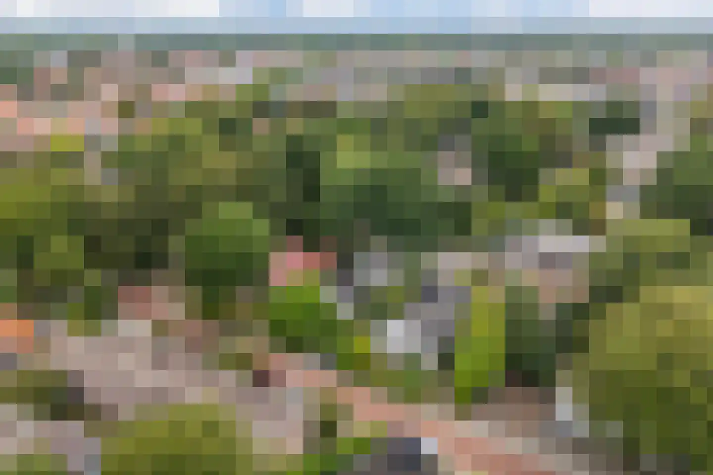 Larixlaan 2 A Ede thumbnail 78