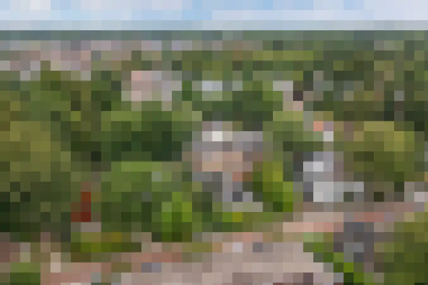 Larixlaan 2 A Ede thumbnail 79