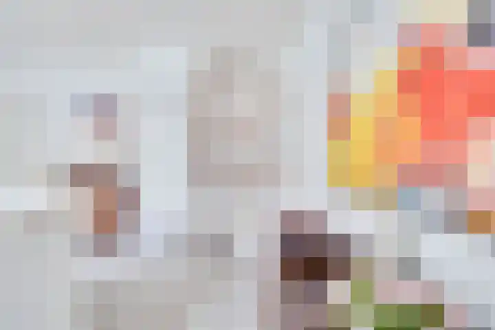 Larixlaan 2 Apeldoorn thumbnail 17