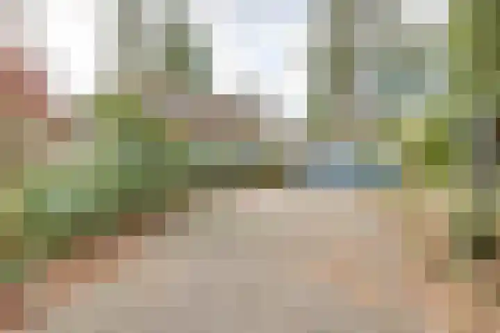 Larixlaan 2 Apeldoorn thumbnail 39