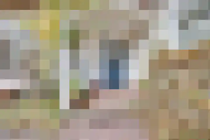 Larixlaan 2 Apeldoorn thumbnail 4