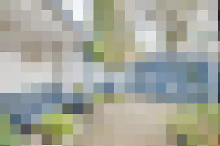 Larixlaan 2 Apeldoorn thumbnail 40