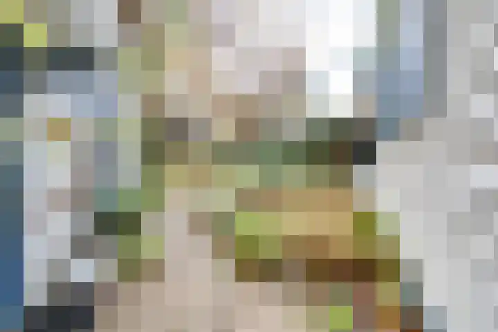 Larixlaan 2 Apeldoorn thumbnail 42