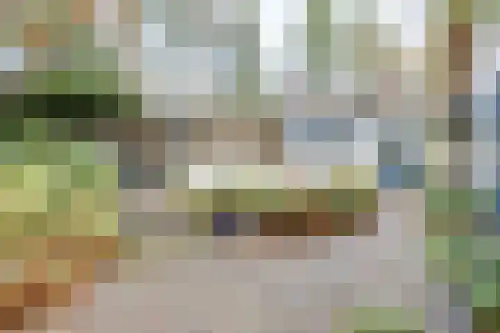 Larixlaan 2 Apeldoorn thumbnail 43