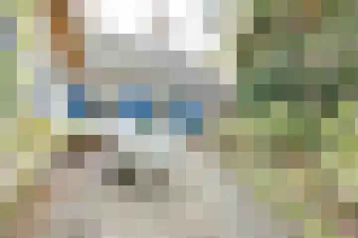 Larixlaan 2 Apeldoorn thumbnail 46