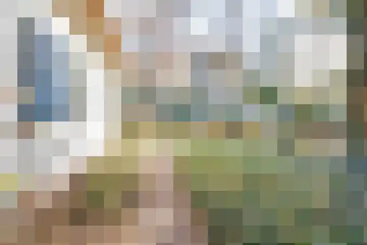 Larixlaan 2 Apeldoorn thumbnail 48