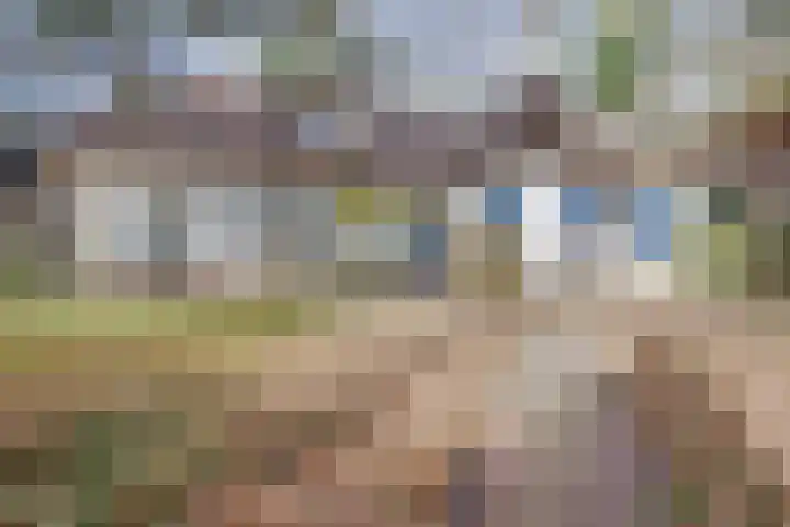 Larixlaan 2 Apeldoorn thumbnail 50