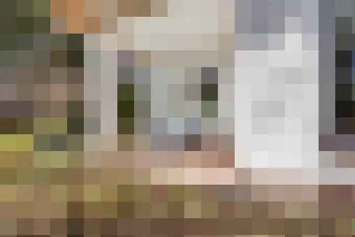 Larixlaan 2 Apeldoorn thumbnail 51