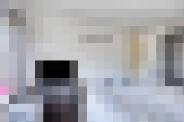 Larixlaan 2 Zwanenburg thumbnail 13
