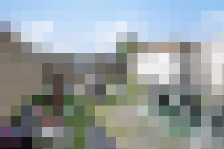 Larixlaan 2 Zwanenburg thumbnail 23