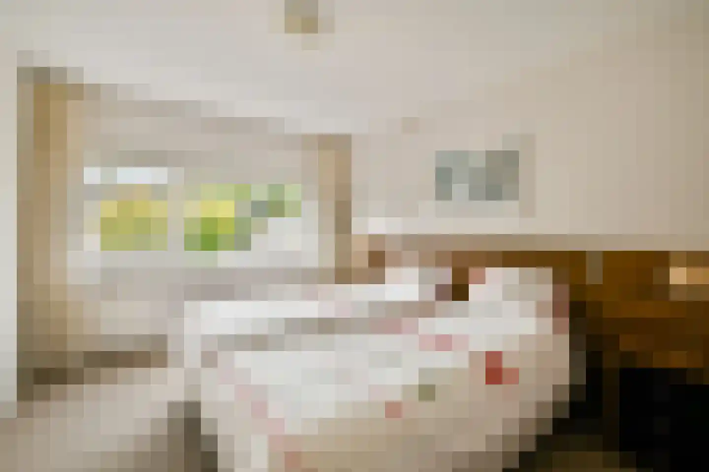 Larixlaan 24 Zwanenburg thumbnail 13