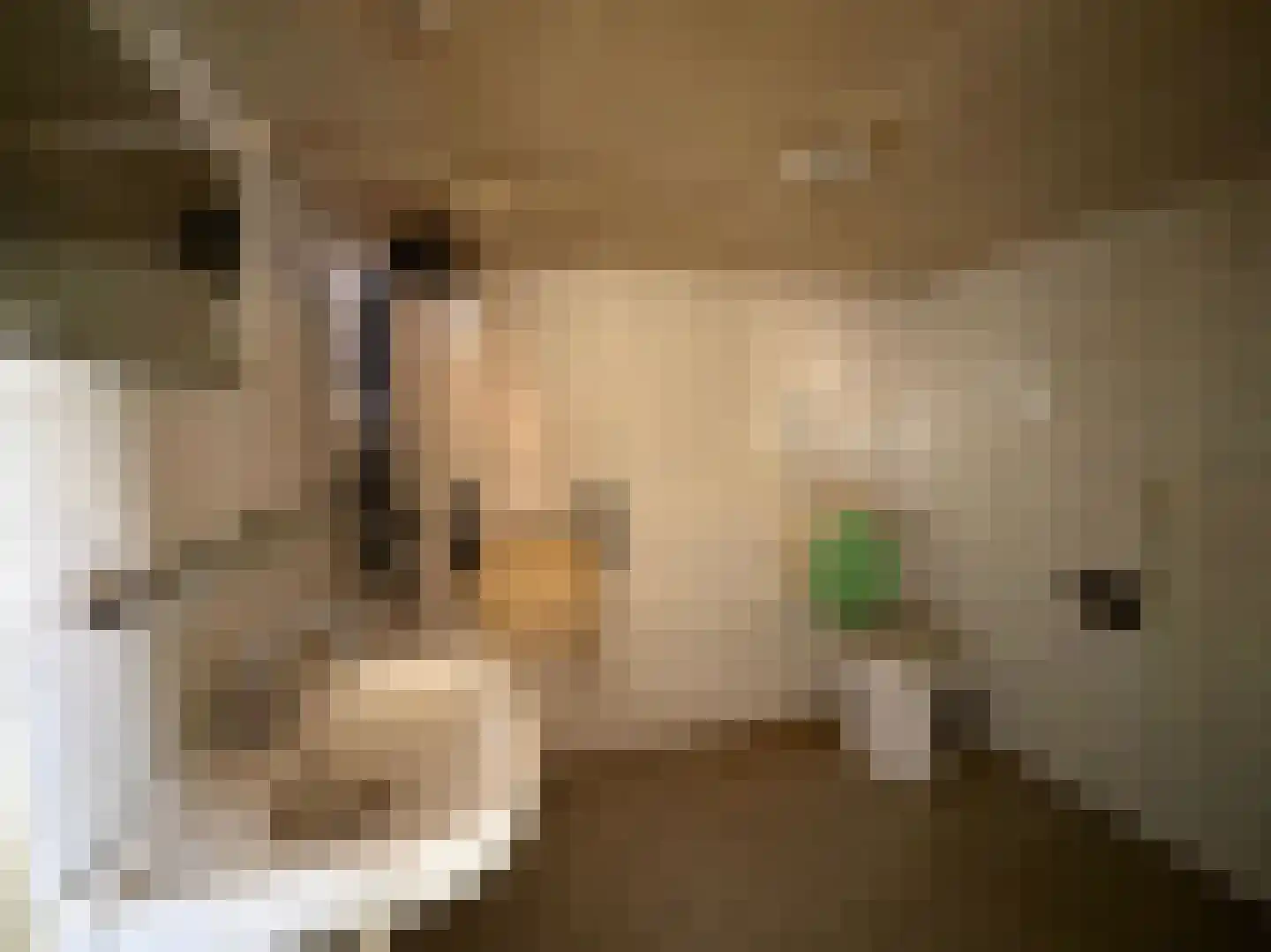 Larixlaan 29 Wierden thumbnail 39