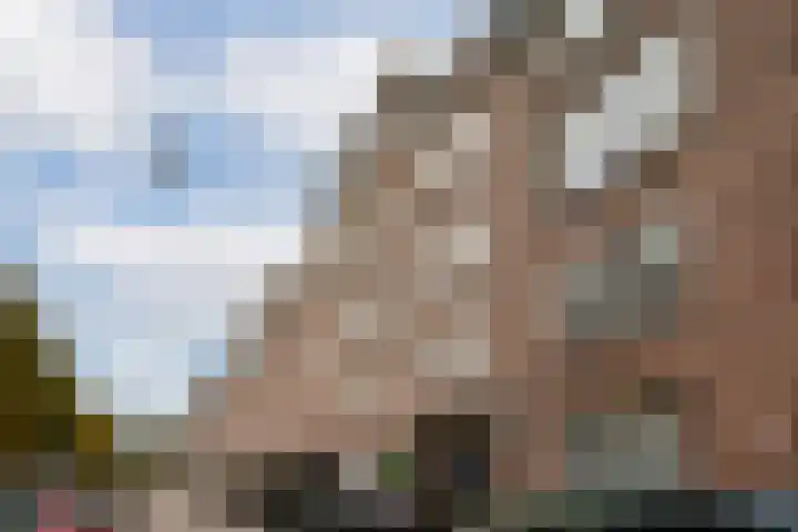 Larixlaan 29 Wierden thumbnail 41
