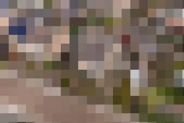 Larixlaan 29 Wierden thumbnail 44