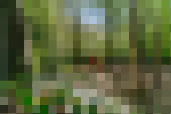 Larixlaan 29 Wierden thumbnail 48