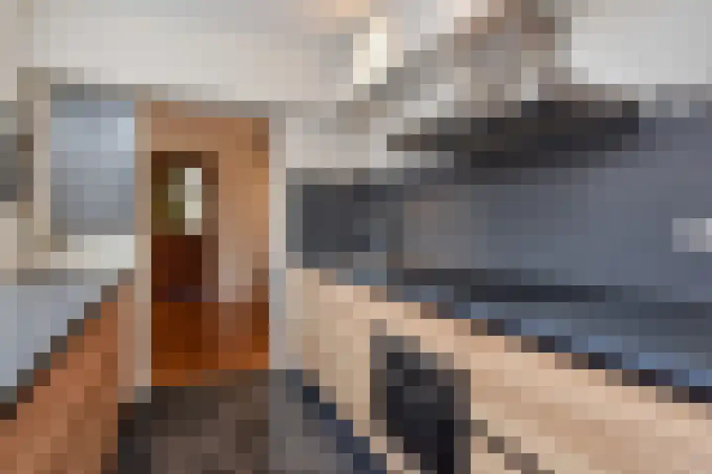Larixlaan 3 Monster thumbnail 22