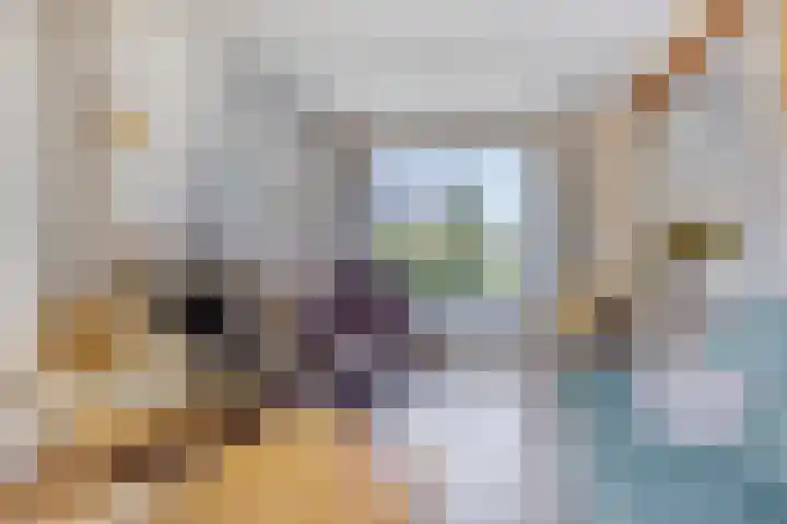 Larixlaan 30 Roden thumbnail 10