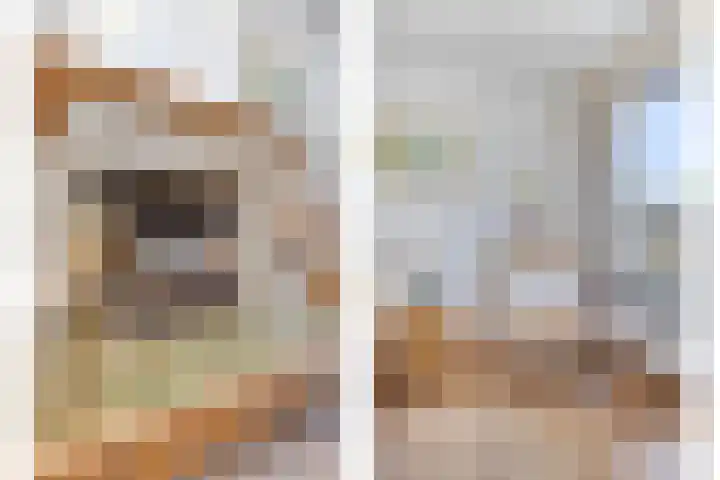 Larixlaan 30 Roden thumbnail 12