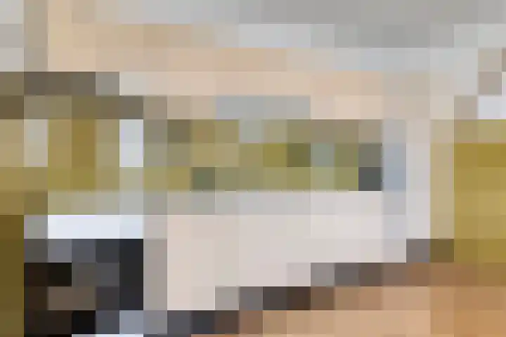 Larixlaan 30 Roden thumbnail 15