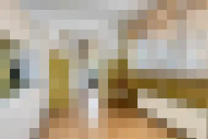 Larixlaan 30 Roden thumbnail 16