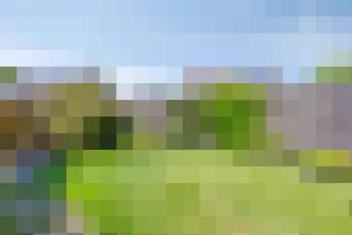 Larixlaan 30 Roden thumbnail 29
