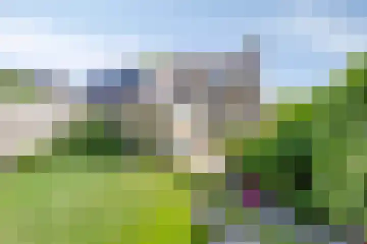 Larixlaan 30 Roden thumbnail 30