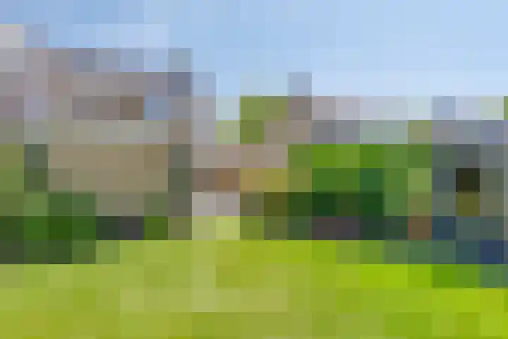 Larixlaan 30 Roden thumbnail 31