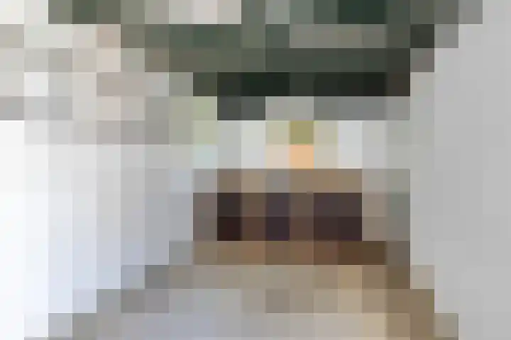Larixlaan 30 Roden thumbnail 32