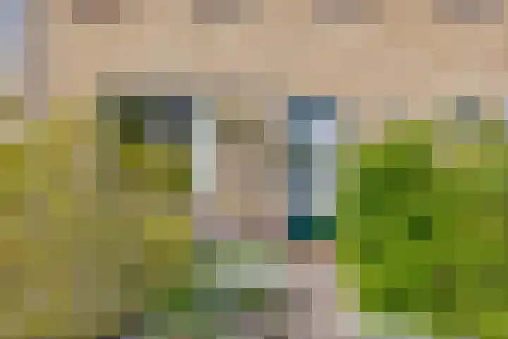 Larixlaan 30 Roden thumbnail 34