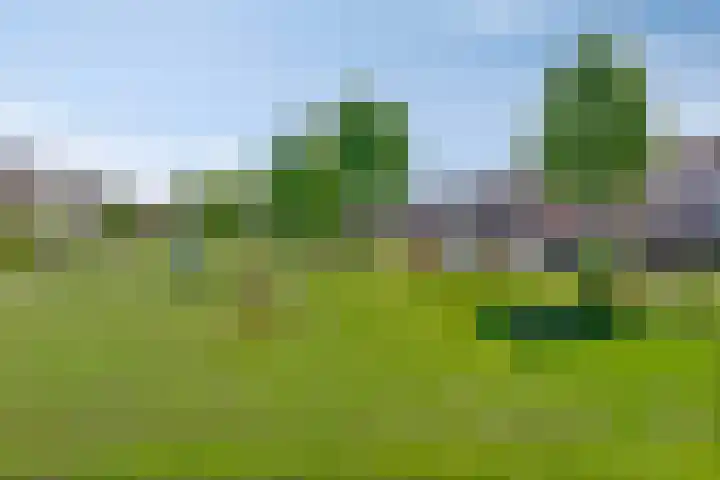 Larixlaan 30 Roden thumbnail 35