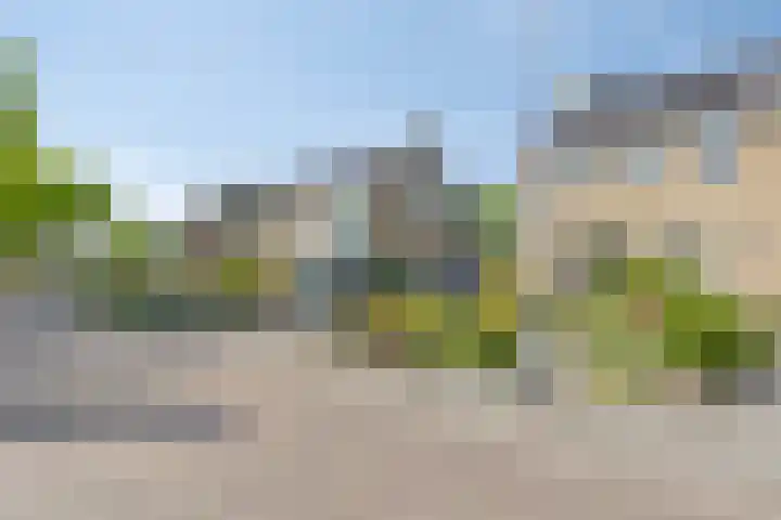 Larixlaan 30 Roden thumbnail 7