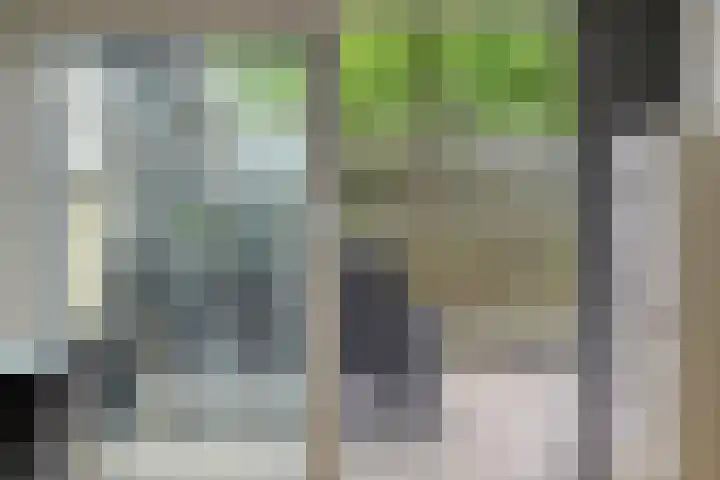 Larixlaan 32 Roden thumbnail 10