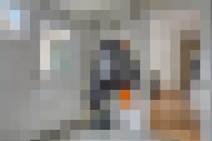 Larixlaan 32 Roden thumbnail 13