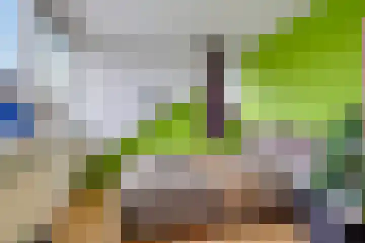 Larixlaan 32 Roden thumbnail 23