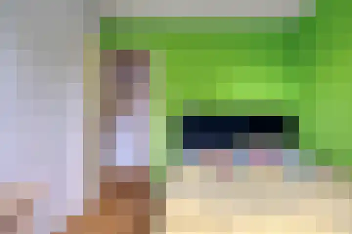 Larixlaan 32 Roden thumbnail 25