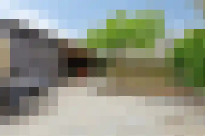 Larixlaan 32 Roden thumbnail 26