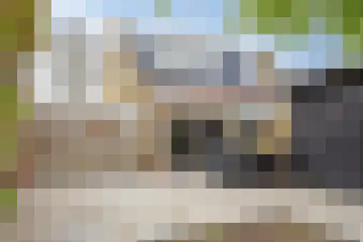 Larixlaan 32 Roden thumbnail 28