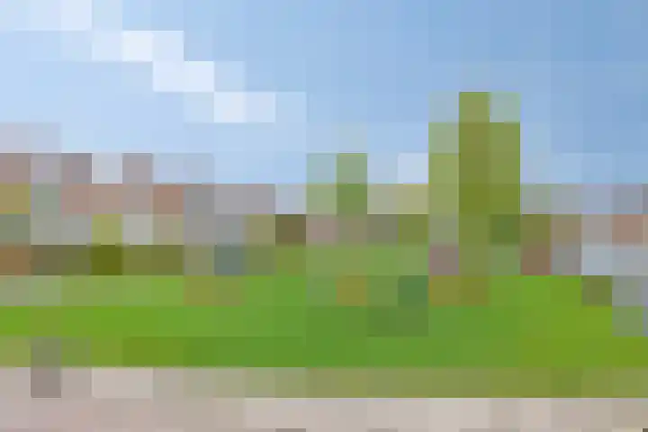 Larixlaan 32 Roden thumbnail 31