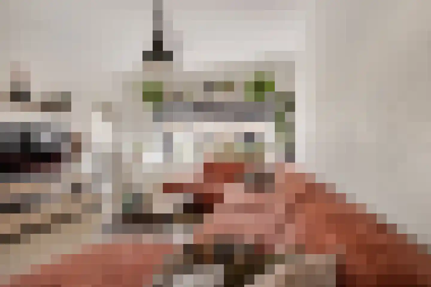 Larixlaan 39 Zwanenburg thumbnail 11