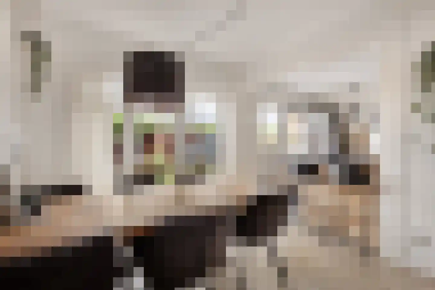 Larixlaan 39 Zwanenburg thumbnail 12